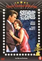 Splendor In The Grass (dvd)