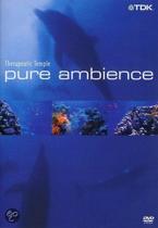 Pure Ambience - Therapeutic Temple (dvd)