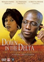 Down In The Delta (dvd)