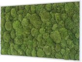 Verticale tuin - Pole moss - 100 x 60cm