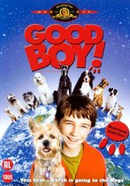 Good Boy (dvd)