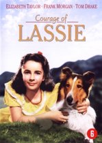 Courage Of Lassie (dvd)