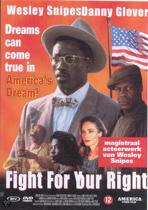 Fight For Your Right (dvd)