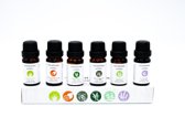JAP Etherische oliën - Aromatherapie olie - Set van 6 stuks - Premium olie: Lemongrass - Sweet orange - Tea Tree - Eucalyptus - Peppermint - Lavender