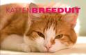 Peter Beemsterboer boek Katten Breeduit Hardcover 37898867