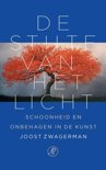 Joost Zwagerman boek De stilte van het licht E-book 9,2E+15
