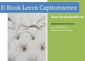 Marja Kooreman boek Leren capitonneren E-book 9,2E+15