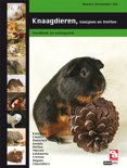 A. Vermeulen-Slik boek Knaagdieren, konijnen en fretten Hardcover 39925266