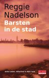 Reggie Nadelson boek Barsten In De Stad E-book 38306372