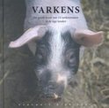 Jinke Hesterman boek Varkens Hardcover 9,2E+15