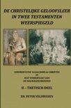 Peter Veldhuizen boek de christelijke geloofsleer in twee testamenten weerspiegeld deel 2 Paperback 9,2E+15