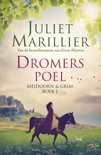 Juliet Marillier boek Meidoorn en Grim 1 - Dromerspoel E-book 9,2E+15