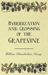 William Chamberlain Strong - Hybridization and Crossing of the Grapevine