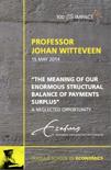 H.Johannus Witteveen boek Valedictory lecture professor Johan Witteveen Paperback 9,2E+15