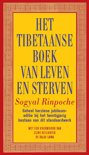 Patrick Gaffney boek Het Tibetaanse boek van leven en sterven E-book 9,2E+15