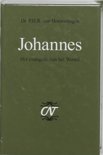 P.H.R. van Houwelingen boek Johannes Hardcover 37717898