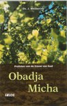 J. Westerink boek Obadja en Micha Paperback 39693794