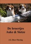 J.G. Boer-Thesing boek De broertjes Auke en Sietze Paperback 9,2E+15
