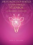 Debbie van Eijk boek Uw horoscoop in beeld: sterrenbeeld Steenbok E-book 9,2E+15
