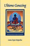 Z. Lama Zopa Rinpochee boek Ultieme Genezing Paperback 37504851