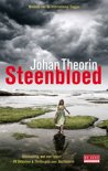 Johan Theorin boek Steenbloed E-book 37728025