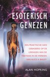 Alan Hopking boek Esoterisch genezen E-book 34233194