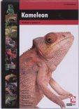 F.J. Schonenberg boek Kameleon Hardcover 39096233