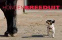 Peter Beemsterboer boek Honden Breeduit Hardcover 38521047