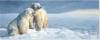 Afbeelding van het spelletje Polar Bears Panoramic Boxed Holiday Cards