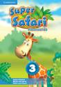 Afbeelding van het spelletje Super Safari Level 3 Flashcards (Pack Of 78)