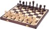 Afbeelding van het spelletje Ace schaakspel