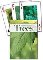 Afbeelding van het spelletje Trees of the Northeast Playing Cards