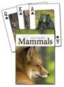 Afbeelding van het spelletje Mammals of the Southeast Playing Cards