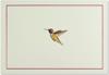 Afbeelding van het spelletje Hummingbird Flight Note Cards (Stationery, Boxed Cards)