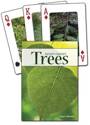 Afbeelding van het spelletje Trees of the Northwest Playing Cards