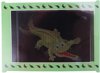 Afbeelding van het spelletje Toi-toys Magische Bewegende Kaart Krokodil Groen
