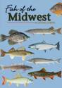 Afbeelding van het spelletje Fish of the Midwest Playing Cards