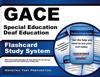 Afbeelding van het spelletje Gace Special Education Deaf Education Study System