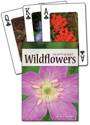 Afbeelding van het spelletje Wildflowers of the Northeast Playing Cards