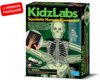 Afbeelding van het spelletje 4m Kidzlabs Fluorescerend Skelet 7-delig
