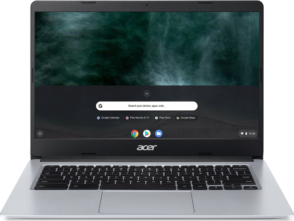 Acer Chromebook 315 CB315-3HT-C4Y8 - 15 inch